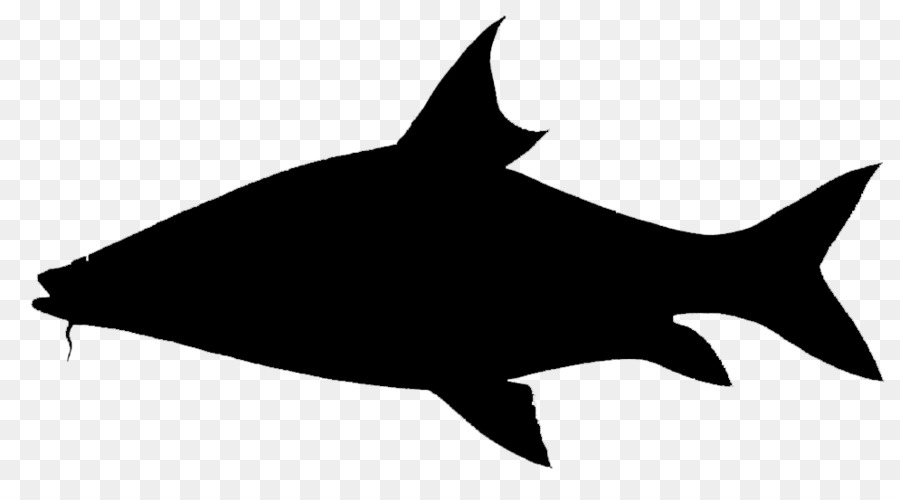 Shark Clip art Fauna Silhouette Marine mammal -  png download - 995*533 - Free Transparent Shark png Download.