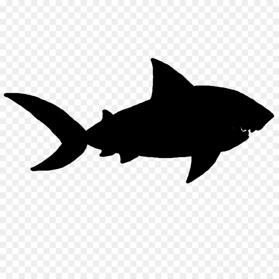 Shark Clip art Fauna Silhouette Marine mammal -  png download - 1500*1500 - Free Transparent Shark png Download.