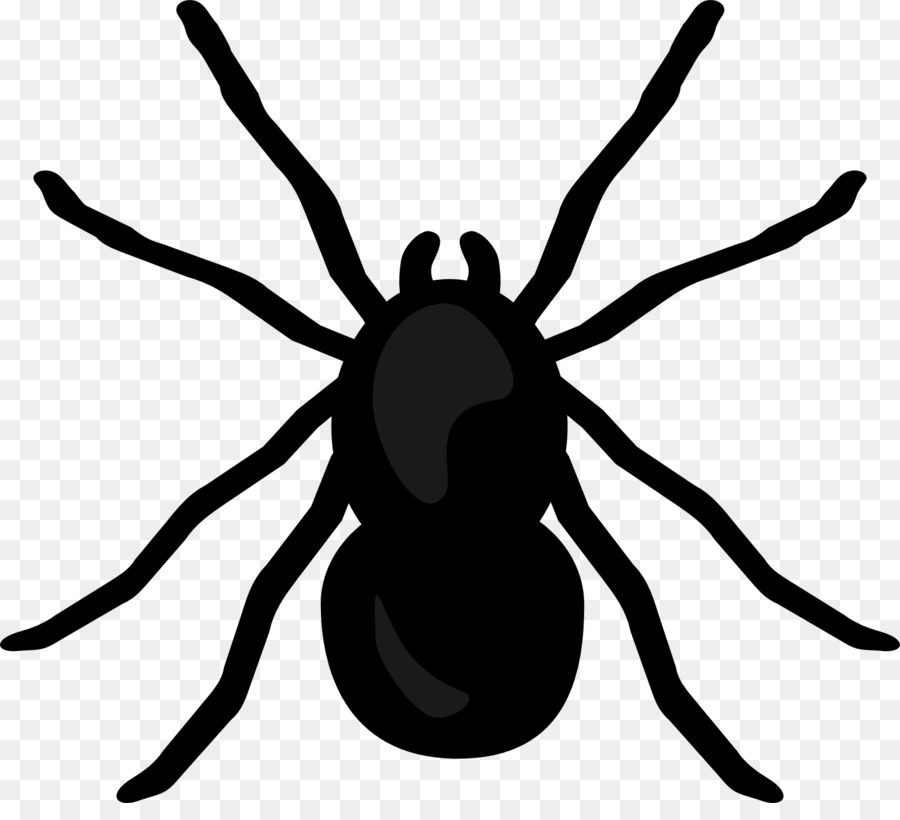 Spider Desktop Wallpaper Clip art - hurricane png download - 1621*1447 - Free Transparent Spider png Download.