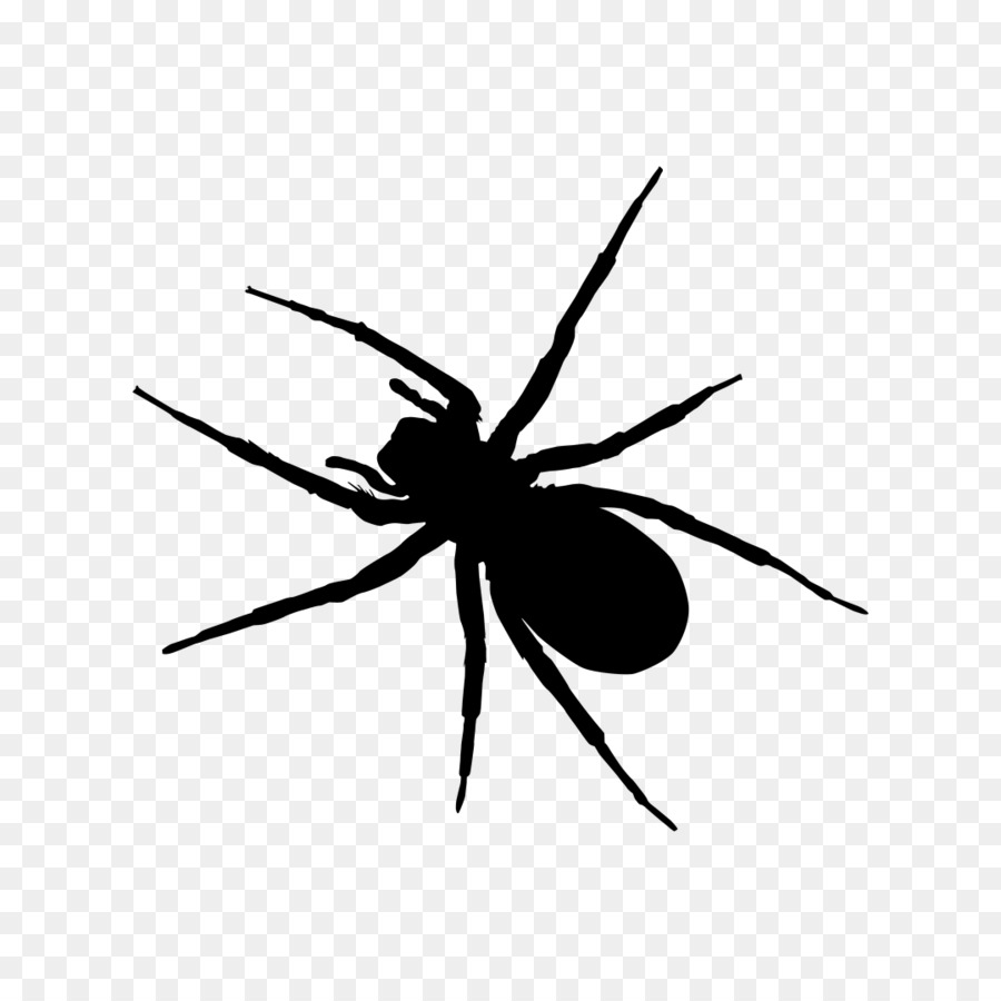 Widow spiders Insect Clip art - spider png download - 1080*1076 - Free Transparent Widow Spiders png Download.