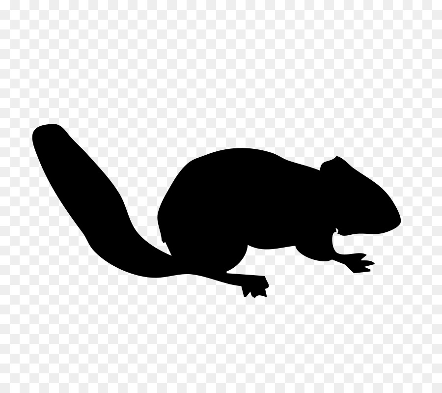 Squirrel Silhouette Siberian chipmunk Clip art - contour png download - 800*800 - Free Transparent Squirrel png Download.
