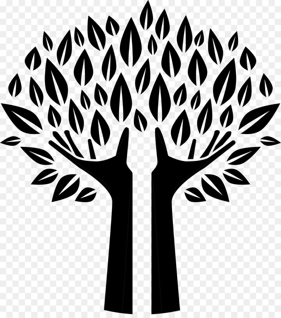 Drawing Tree Clip art - tree png download - 1143*1280 - Free Transparent Drawing png Download.