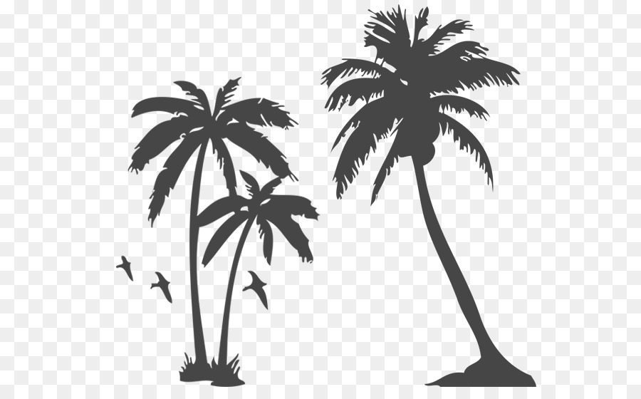 Arecaceae Tattoo Tree Sabal Palm - TREE MURAL png download - 800*550 - Free Transparent Arecaceae png Download.