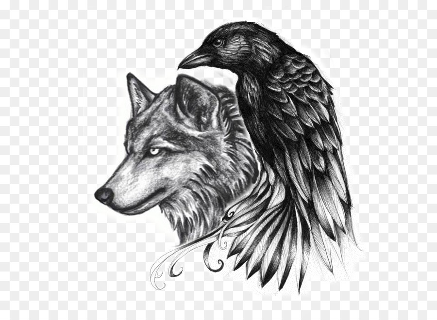 Common raven Abziehtattoo Crow Gray wolf - wolf tatoo png download - 698*658 - Free Transparent Common Raven png Download.