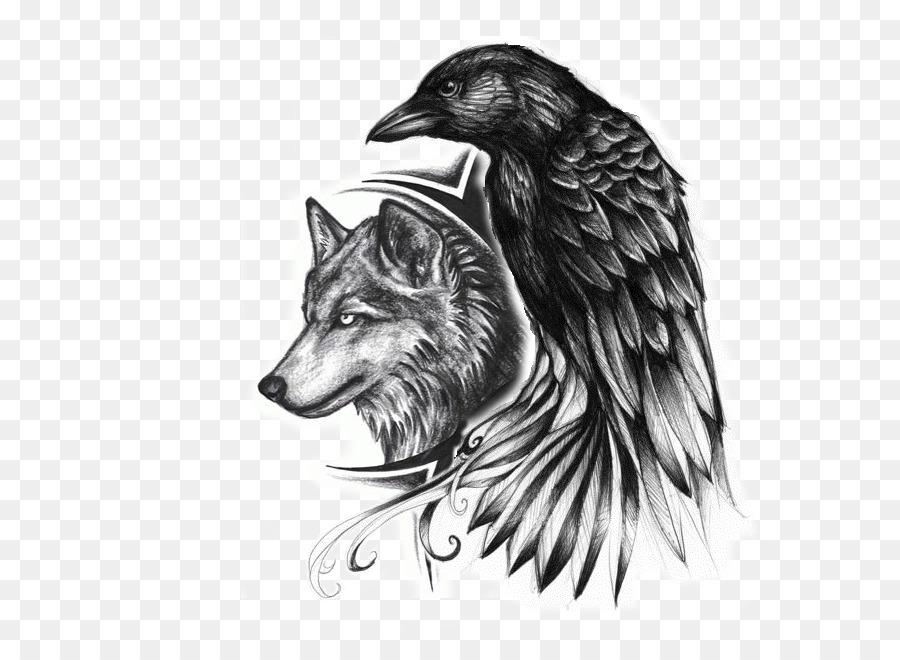 Common raven Indian wolf Tattoo Drawing - Indianer png download - 698*658 - Free Transparent Common Raven png Download.