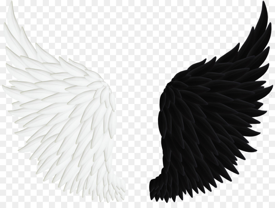 Angel Clip art - Black And White Wings png download - 900*667 - Free Transparent Angel png Download.