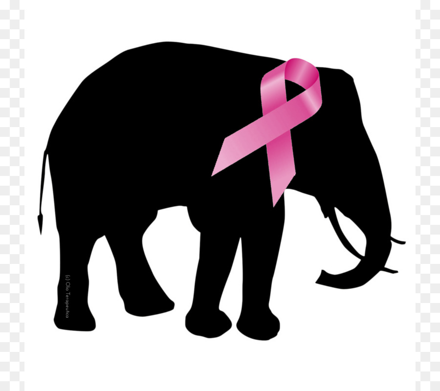 African elephant Silhouette Clip art - Pictures Of Pink Elephants png download - 800*800 - Free Transparent African Elephant png Download.