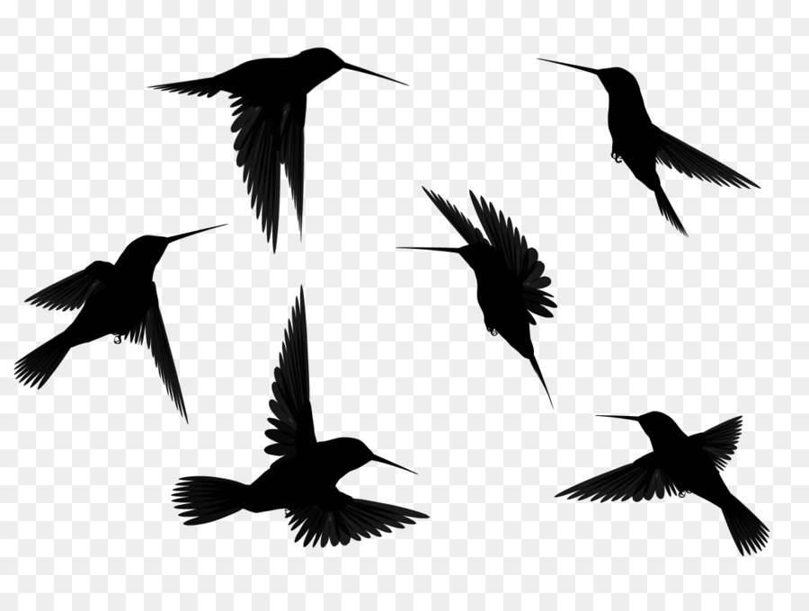 Bird flight Crows Clip art - simple bird png download - 1167*876 - Free Transparent Bird png Download.