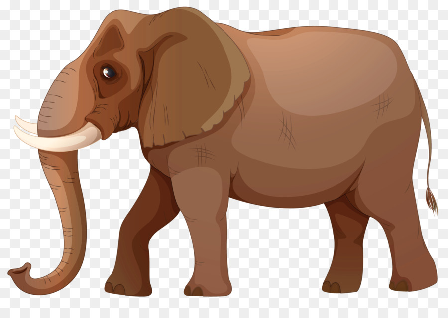 African elephant Indian elephant Baby Elephants - elephant png download - 2560*1779 - Free Transparent African Elephant png Download.