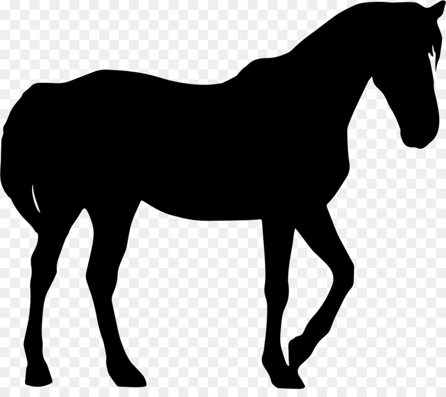 Arabian horse Mustang Standing Horse Riding Pony - mustang png download - 981*855 - Free Transparent Arabian Horse png Download.