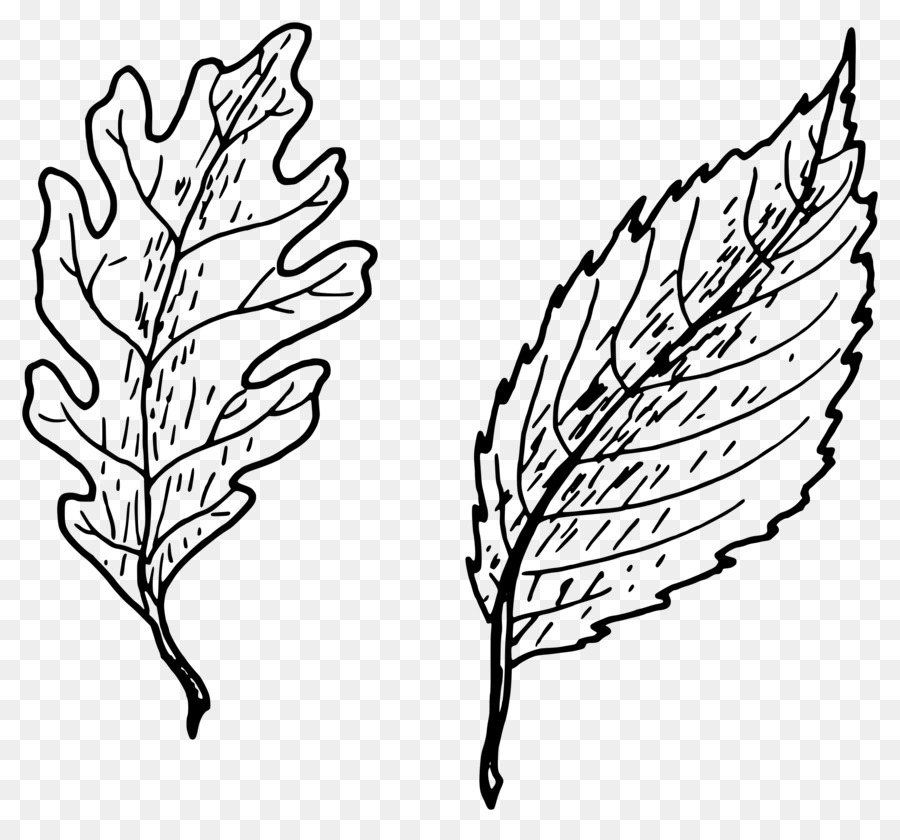 Leaf Drawing Clip art - hand drawn simple plant png download - 2400*2218 - Free Transparent Leaf png Download.