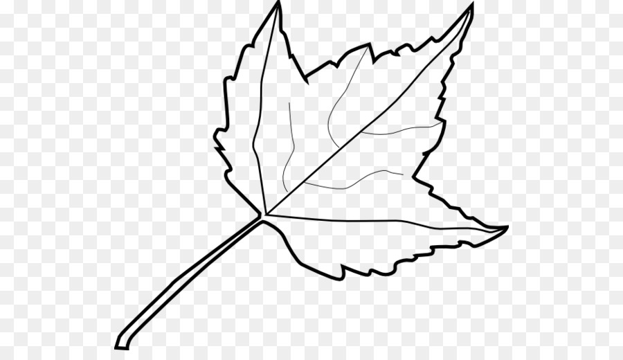 Maple leaf Drawing Clip art - Leaf png download - 570*506 - Free Transparent Maple Leaf png Download.