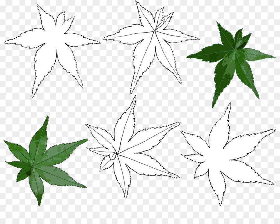 Black and white Maple leaf Line art - Maple Leaf painted simple pen png download - 1000*780 - Free Transparent Black And White png Download.