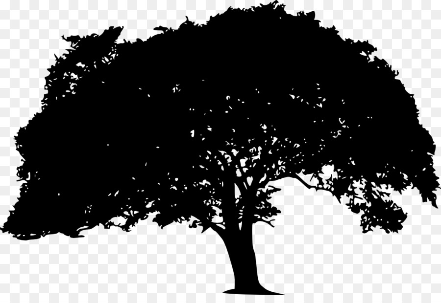Portable Network Graphics Clip art Transparency Image Tree - silhouette png download - 1170*785 - Free Transparent Tree png Download.