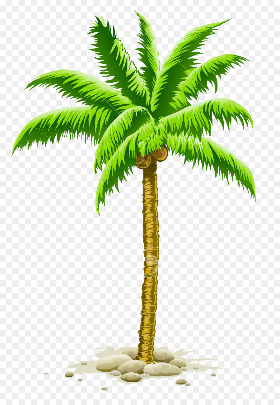 Vector graphics Clip art Palm trees Illustration Royalty-free - coconut png download - 866*1300 - Free Transparent Palm Trees png Download.