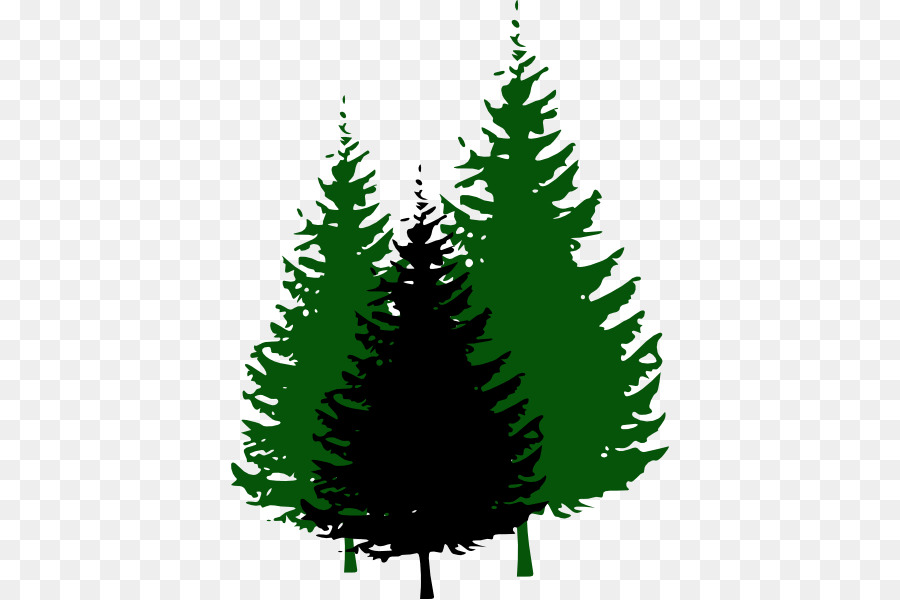 Evergreen Pine Tree Clip art - Evergreen Cliparts png download - 438*599 - Free Transparent Evergreen png Download.