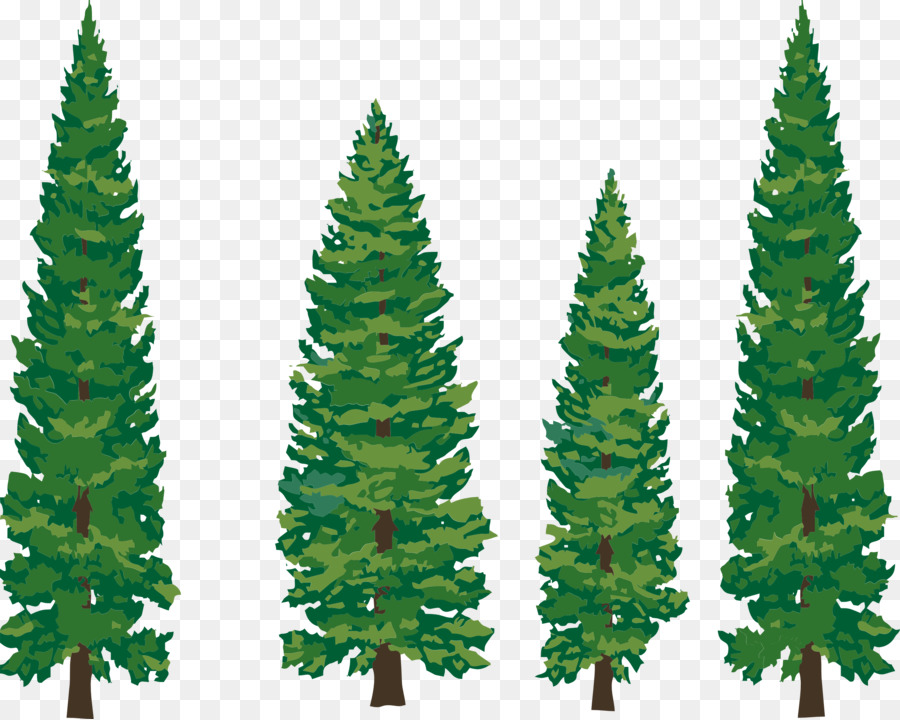 Tree Pine Fir Evergreen Clip art - Pine Tree Illustration png download - 2555*2041 - Free Transparent Tree png Download.