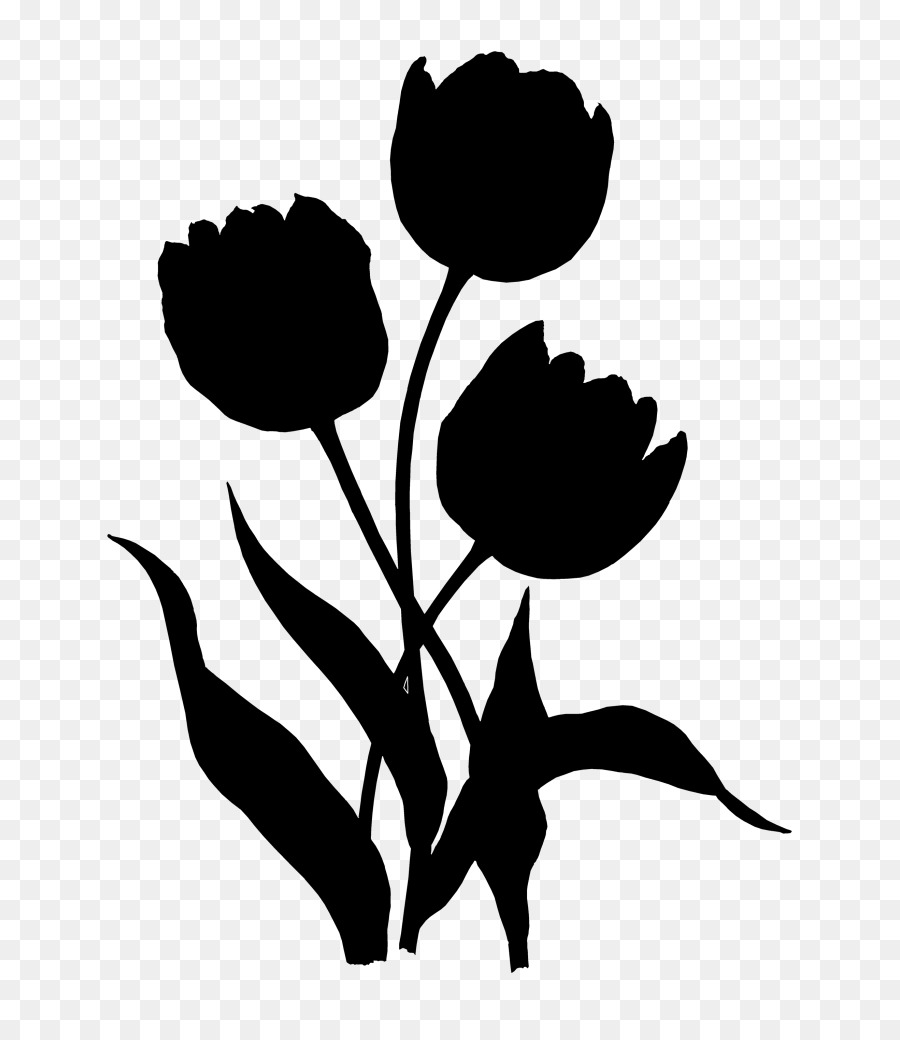 Tulip Rose family Clip art Plant stem Leaf -  png download - 819*1024 - Free Transparent Tulip png Download.