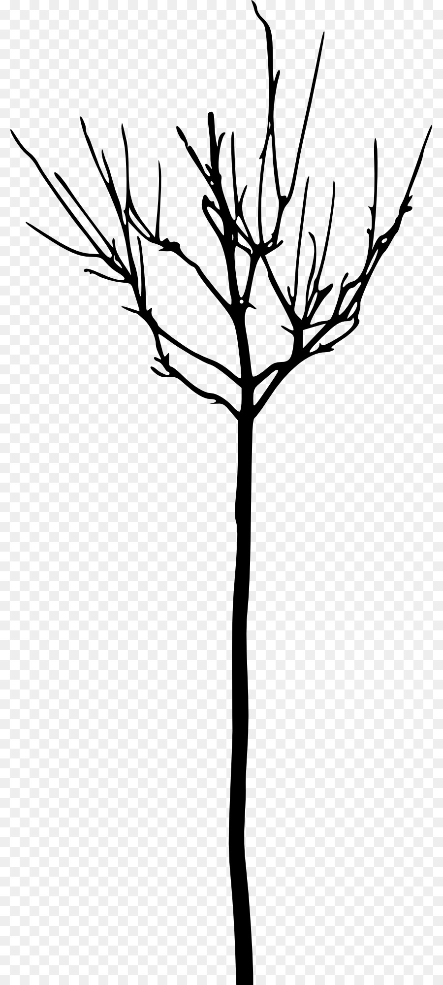 Tree Branch Woody plant Clip art - tree png download - 857*2000 - Free Transparent Tree png Download.