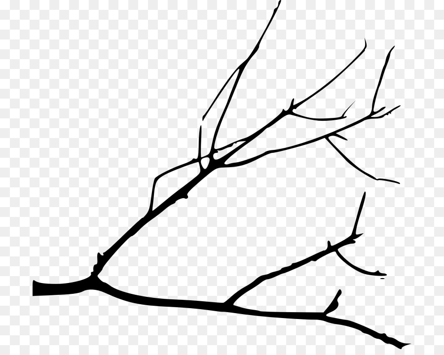 Branch Clip art Drawing Portable Network Graphics Tree -  png download - 768*708 - Free Transparent Branch png Download.