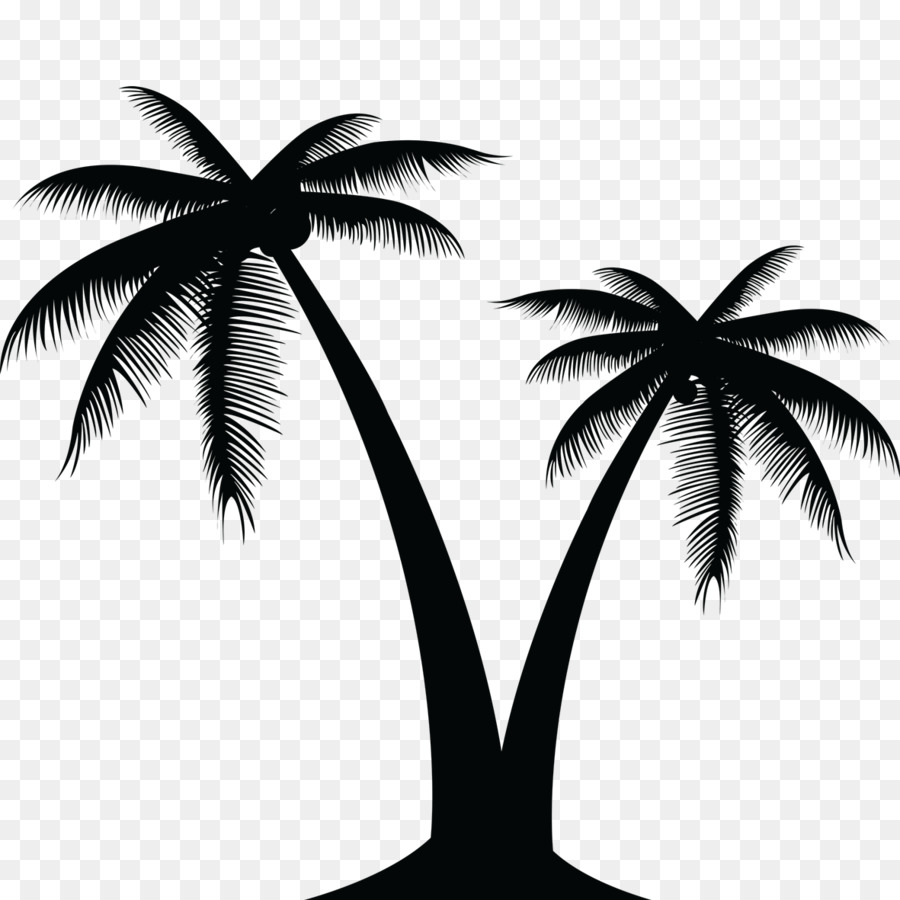 Arecaceae Tree Clip art - palm leaves png download - 1181*1181 - Free Transparent Arecaceae png Download.