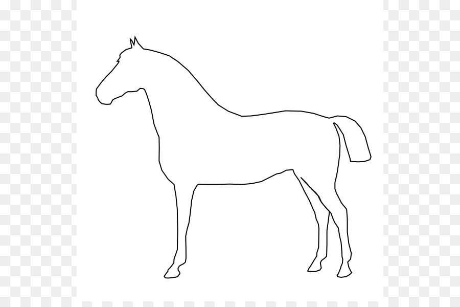 Tennessee Walking Horse Conformation of the Horse Drawing Clip art - Horse Outline png download - 600*589 - Free Transparent Tennessee Walking Horse png Download.