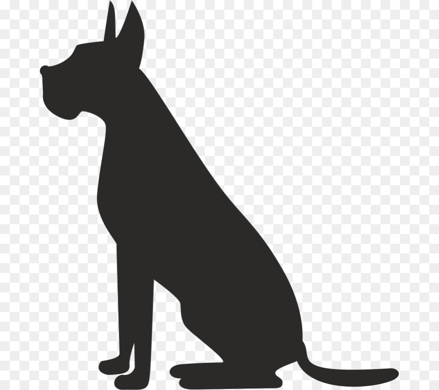 Pet sitting Dog grooming Cat - Dog png download - 800*800 - Free Transparent Pet Sitting png Download.
