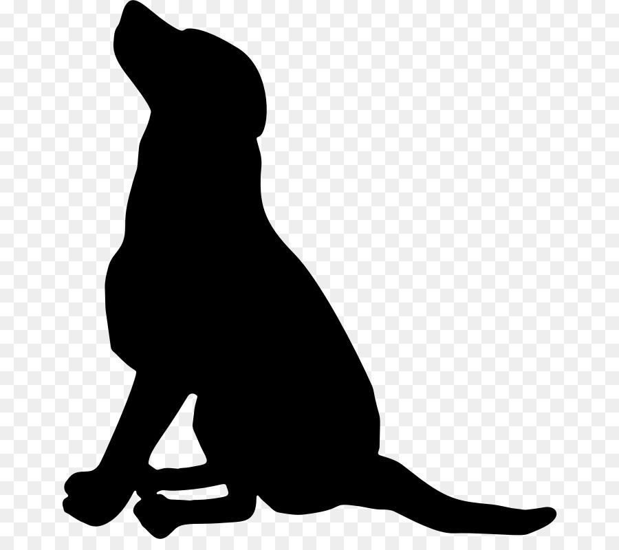 Labrador Retriever Pet sitting Scotch Collie Greyhound Clip art - sitting clipart png download - 720*784 - Free Transparent Labrador Retriever png Download.