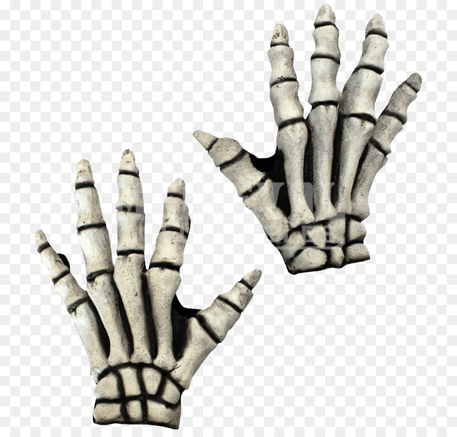 Glove Human skeleton Hand Costume - Skeleton png download - 850*850 - Free Transparent Glove png Download.