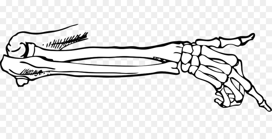 Finger Failure EP Bone Joint Muscle - hand skeleton png download - 960*480 - Free Transparent  png Download.