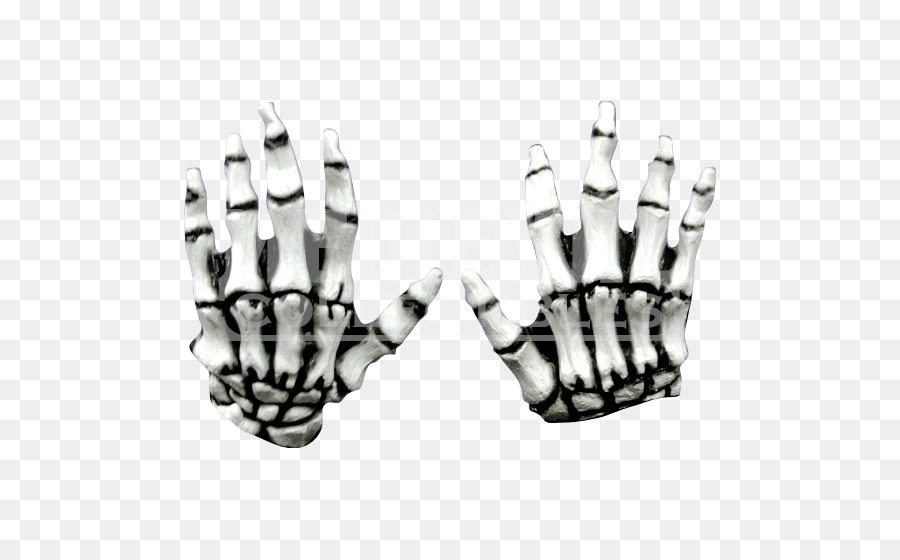 Finger Human skeleton Hand Foot - Skeleton png download - 550*550 - Free Transparent Finger png Download.