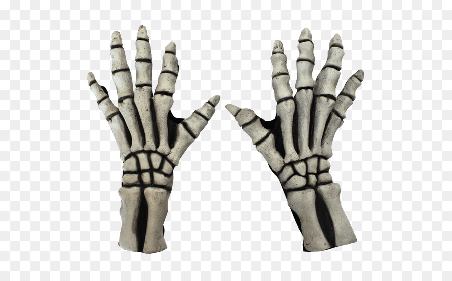 Human skeleton Glove Costume Hand - Skeleton png download - 555*555 - Free Transparent Skeleton png Download.