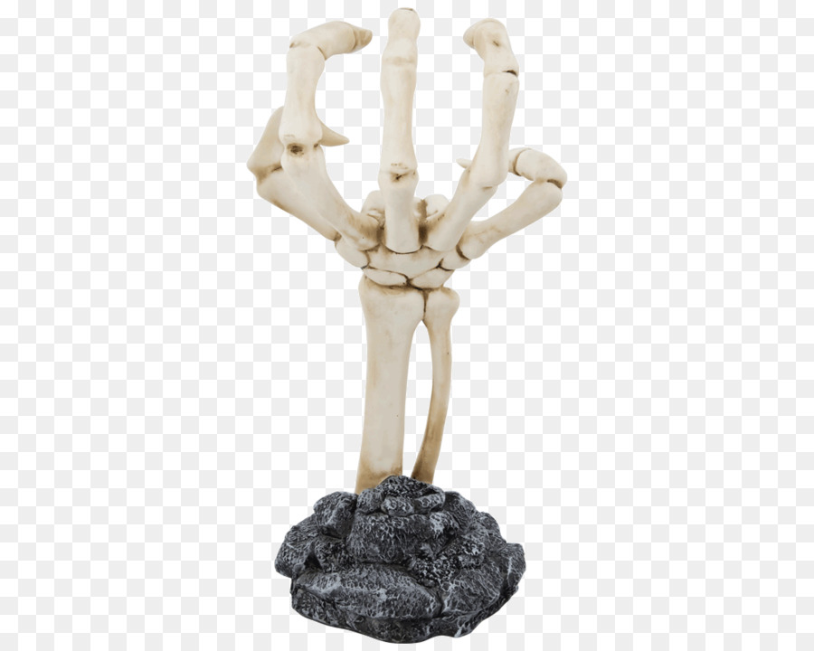 Human skeleton Human body Human anatomy Pomade - Skull Hand png download - 1000*800 - Free Transparent Human Skeleton png Download.