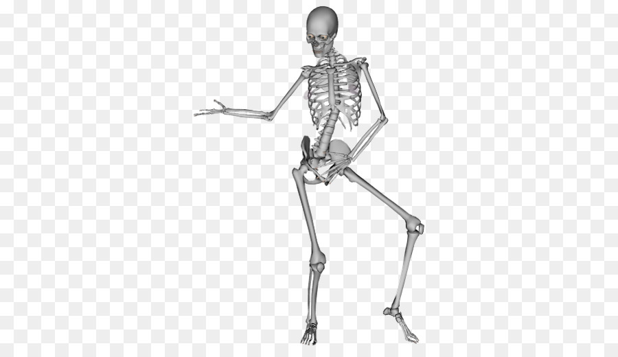 The human skeleton Dance Bone - human bones png download - 512*512 - Free Transparent Human Skeleton png Download.
