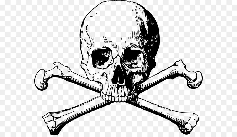 Skull and Bones Skull and crossbones - skull png download - 640*514 - Free Transparent Skull And Bones png Download.