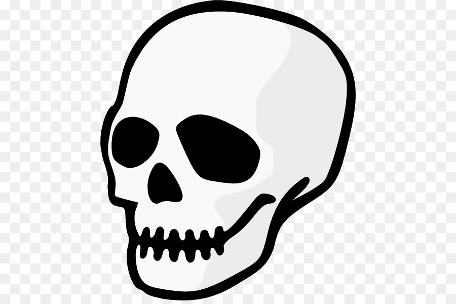 Skull Drawing Clip art - Navy Skull Cliparts png download - 504*593 - Free Transparent Skull png Download.