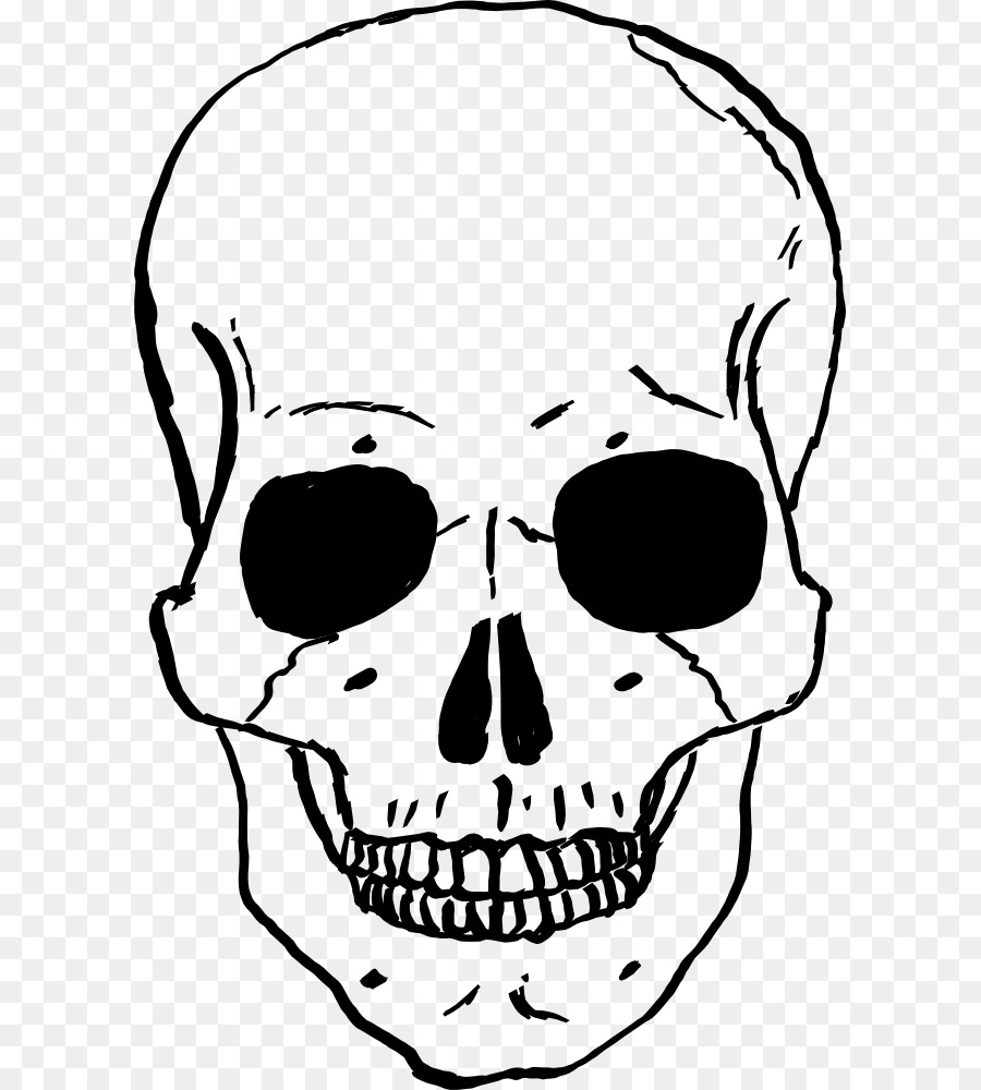 Skull Human skeleton Drawing Clip art - skull clipart png download - 653*1000 - Free Transparent Skull png Download.