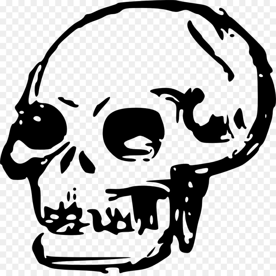 Skull Clip art - skull clipart png download - 1000*991 - Free Transparent Skull png Download.