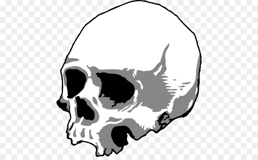 Skull Silhouette Head u9ab7u9ac5 - Black skull head skeleton png download - 506*549 - Free Transparent Skull png Download.