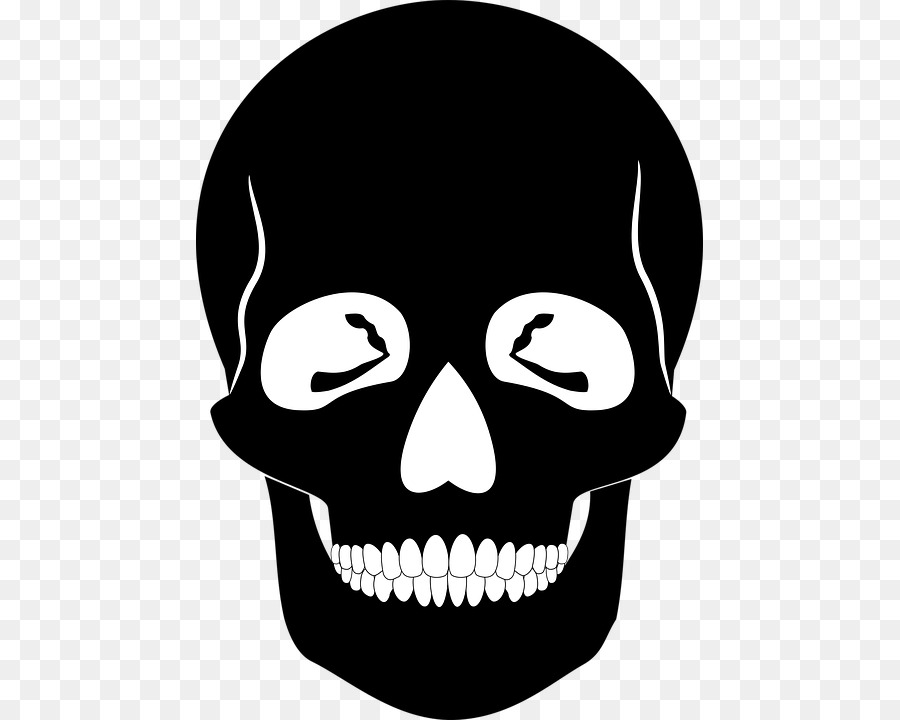 Skull Stencil Silhouette Human skeleton - skull png download - 507*720 - Free Transparent Skull png Download.