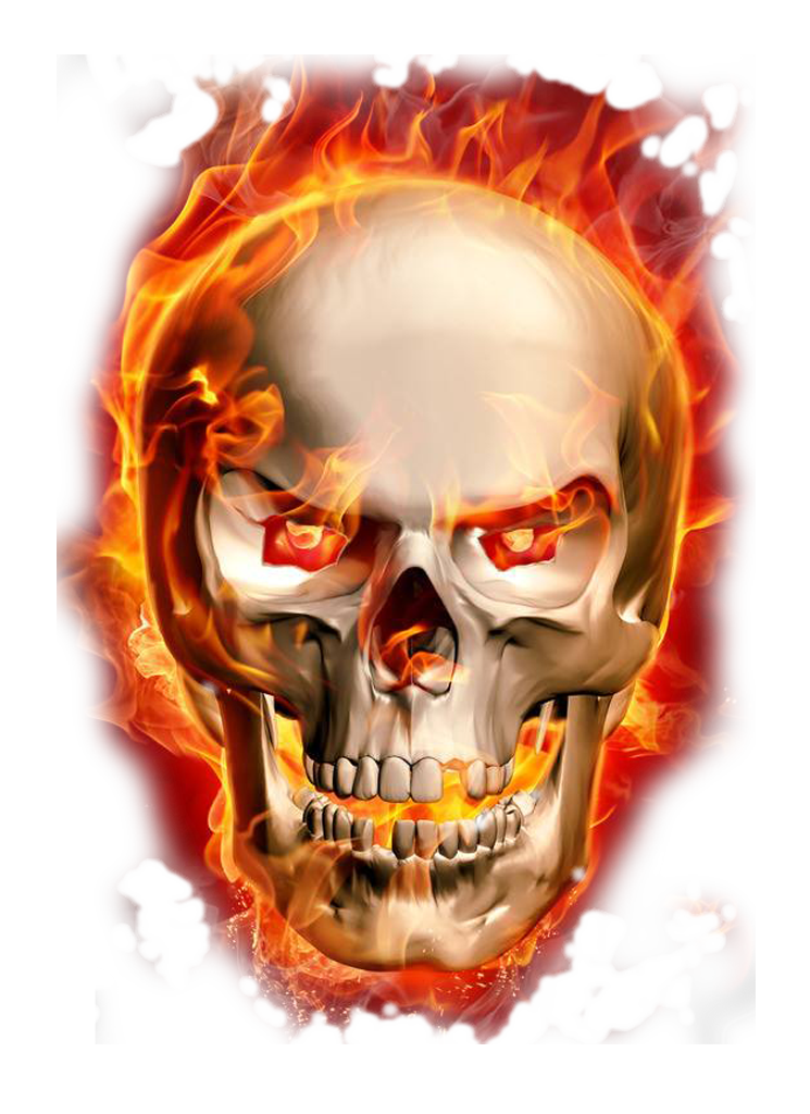 Burning Skeleton png download - 745*1024 - Free Transparent Flame png
