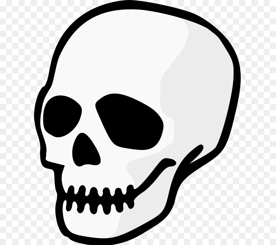 Skull Drawing Clip art - Free Skull Pictures png download - 678*800 - Free Transparent Skull png Download.