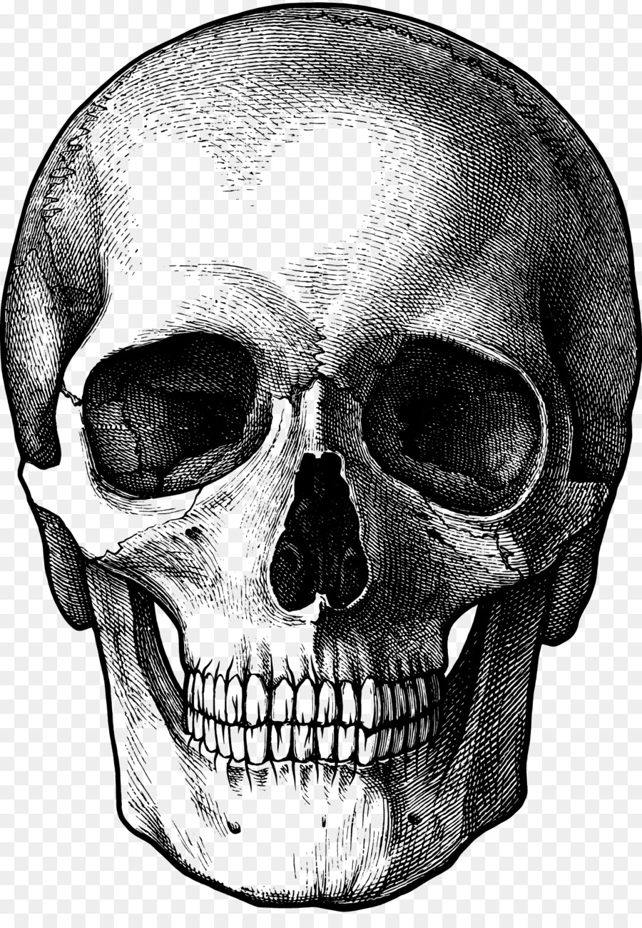 Drawing Skull Fun Stuff to Draw Art Sketch - skulls png download - 1317*1876 - Free Transparent Drawing png Download.