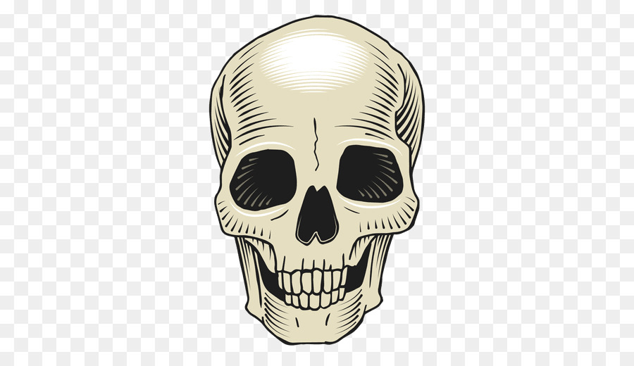 Skull Bone Drawing - skulls png download - 512*512 - Free Transparent Skull png Download.