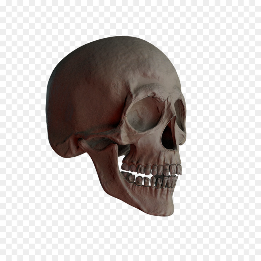 Skull and crossbones Skull and crossbones - skulls png download - 1280*1280 - Free Transparent Skull png Download.