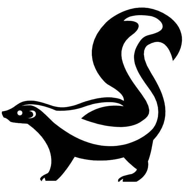 Skunk Drawing Cartoon Sketch Cartoon Skunk Png Download 619 600 Free Transparent Skunk Png Download Clip Art Library