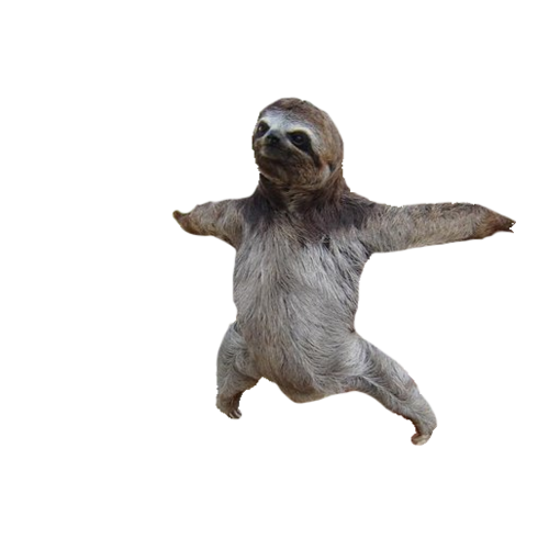 Adopt a Sloth Baby Sloths Clip art - sloth png download - 500*500