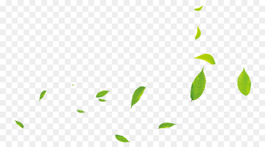 Leaf Green Download - Small green leaves png download - 810*500 - Free Transparent Leaf png Download.