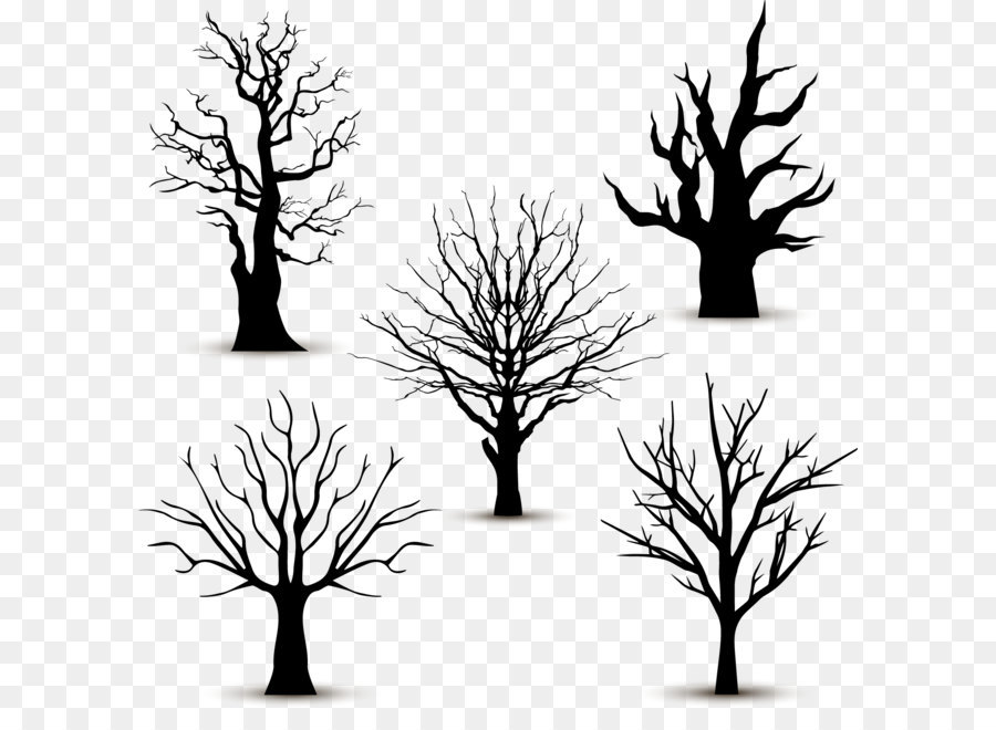 Tree Silhouette Euclidean vector - 5 black trees without leaves vector png download - 1487*1467 - Free Transparent Tree ai,png Download.