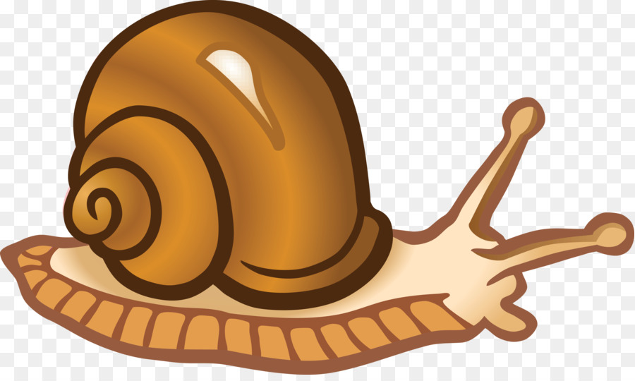 Snail Clip art - snails png download - 4000*2362 - Free Transparent Snail png Download.